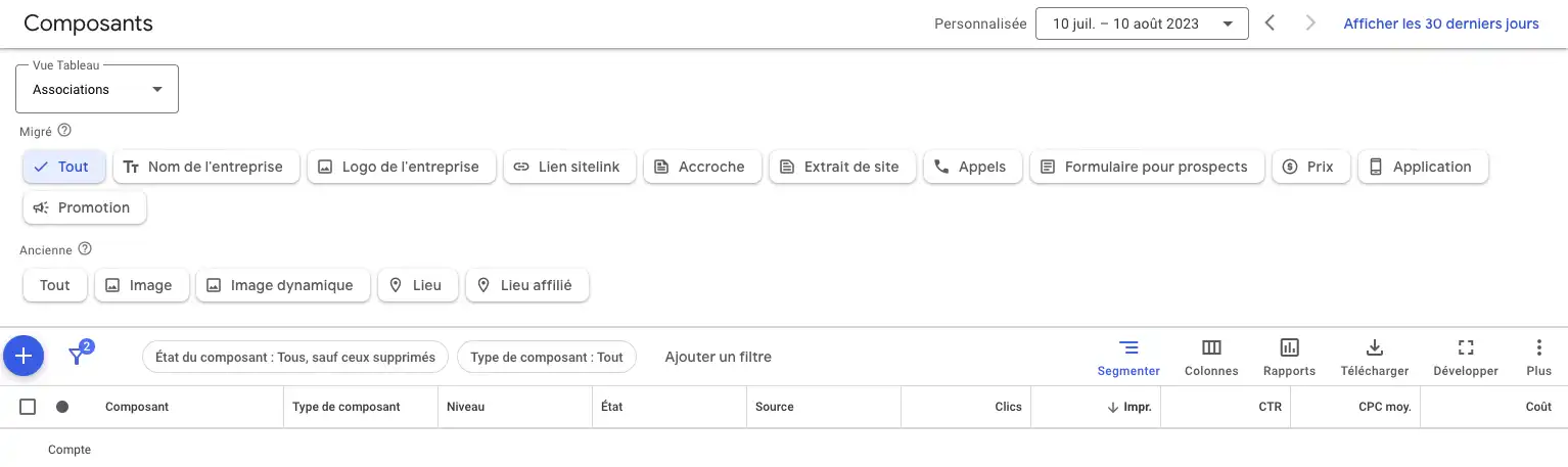 interface Google Ads avec composants et extensions