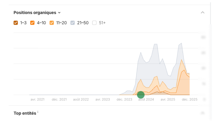 +200% de trafic organique grâce à une stratégie SEO en 9 mois